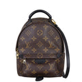 Louis Vuitton Palm Springs Mini Backpack Monogram