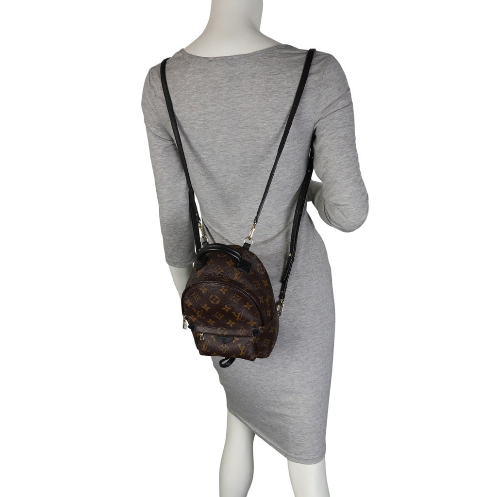 Louis Vuitton Palm Springs Mini Backpack Monogram