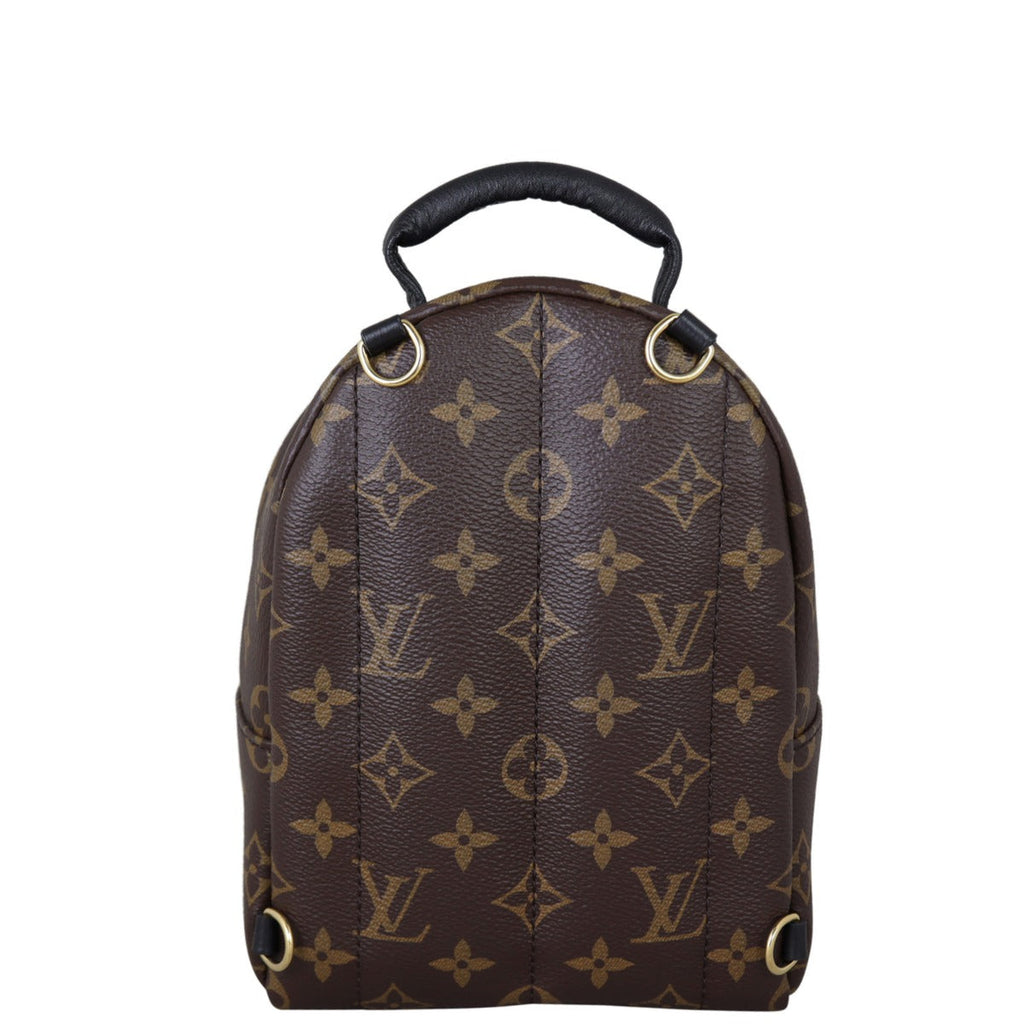 Louis Vuitton Palm Springs Mini Backpack Monogram