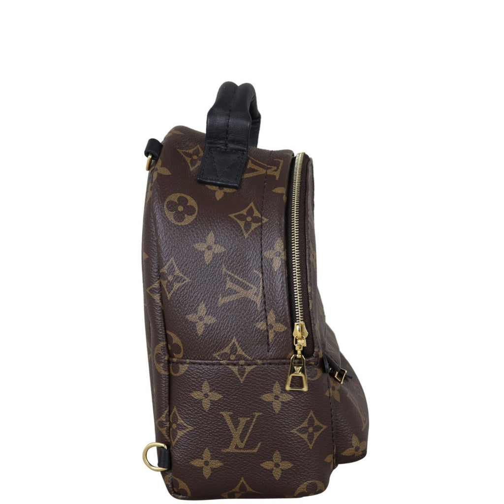Louis Vuitton Palm Springs Mini Backpack Monogram