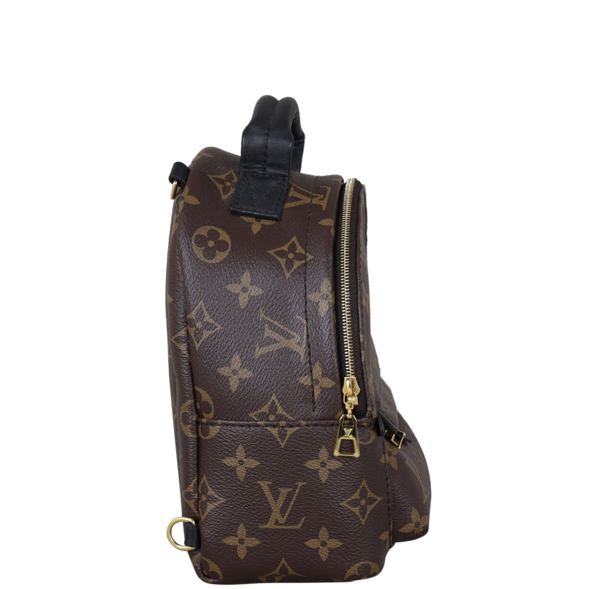 Louis Vuitton Palm Springs Mini Backpack Monogram