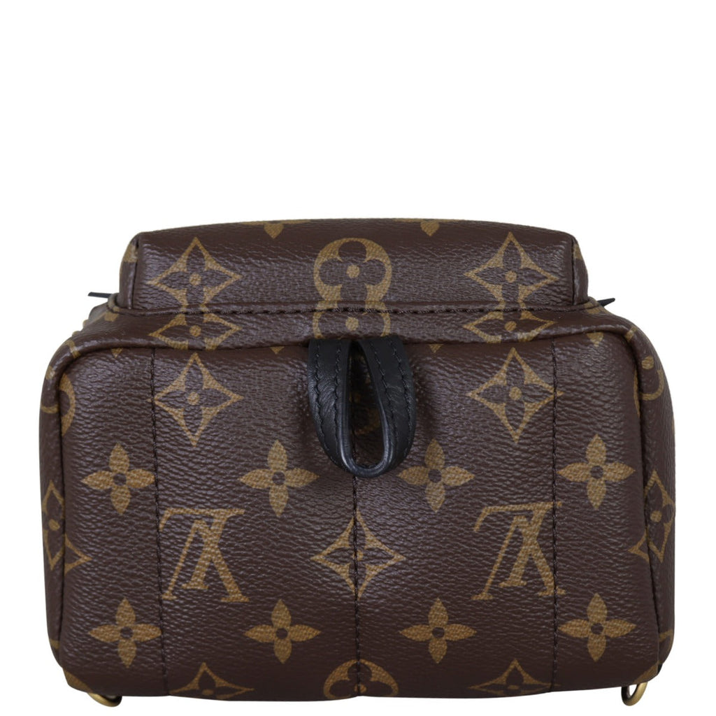 Louis Vuitton Palm Springs Mini Backpack Monogram