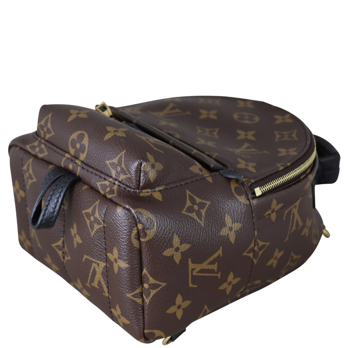 Louis Vuitton Palm Springs Mini Backpack Monogram
