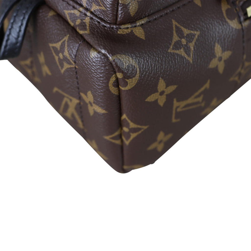 Louis Vuitton Palm Springs Mini Backpack Monogram
