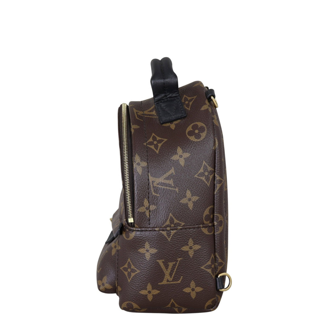 Louis Vuitton Palm Springs Mini Backpack Monogram