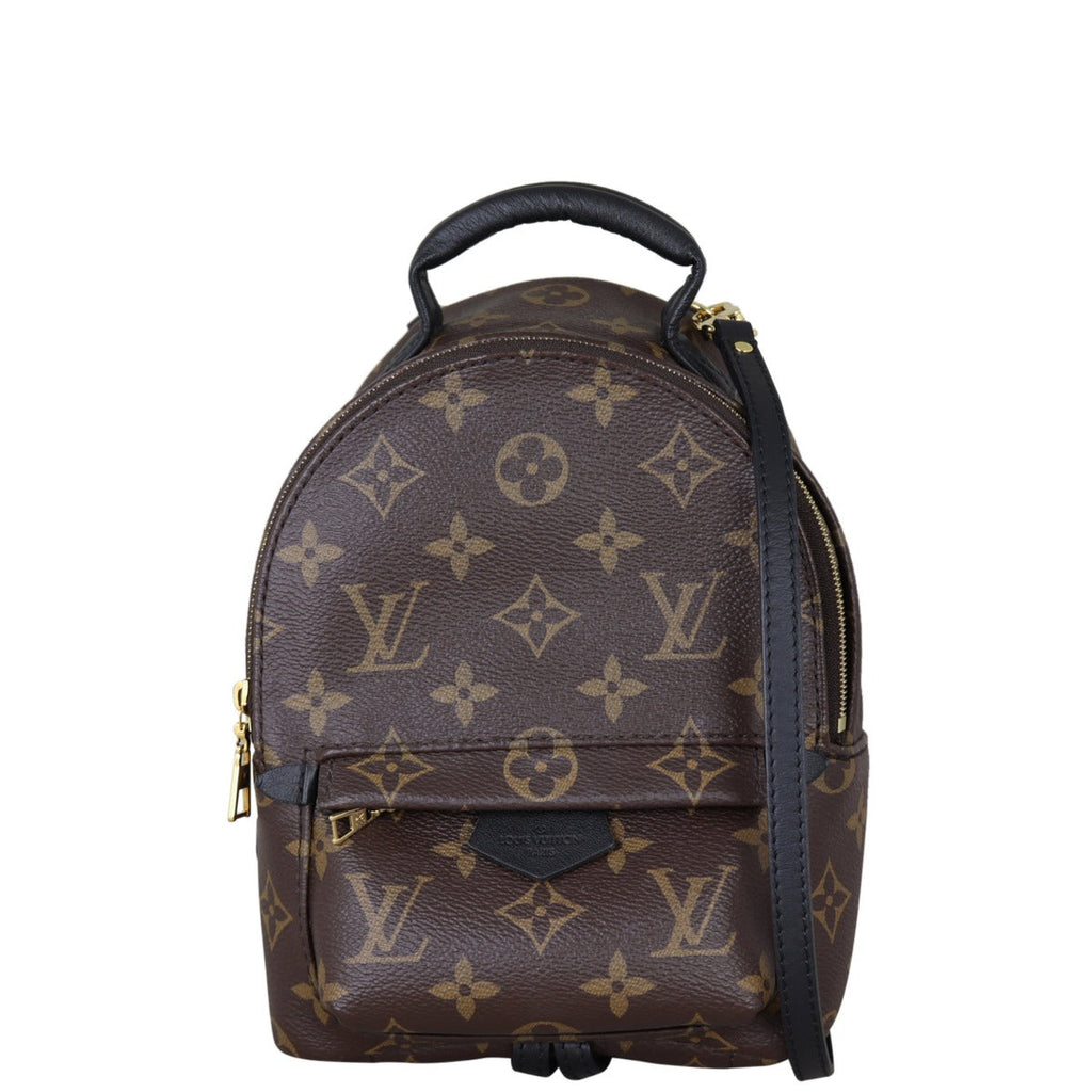 Louis Vuitton Palm Springs Mini Backpack Monogram