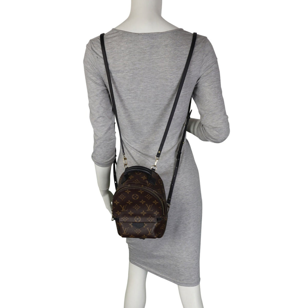 Louis Vuitton Palm Springs Mini Backpack Monogram