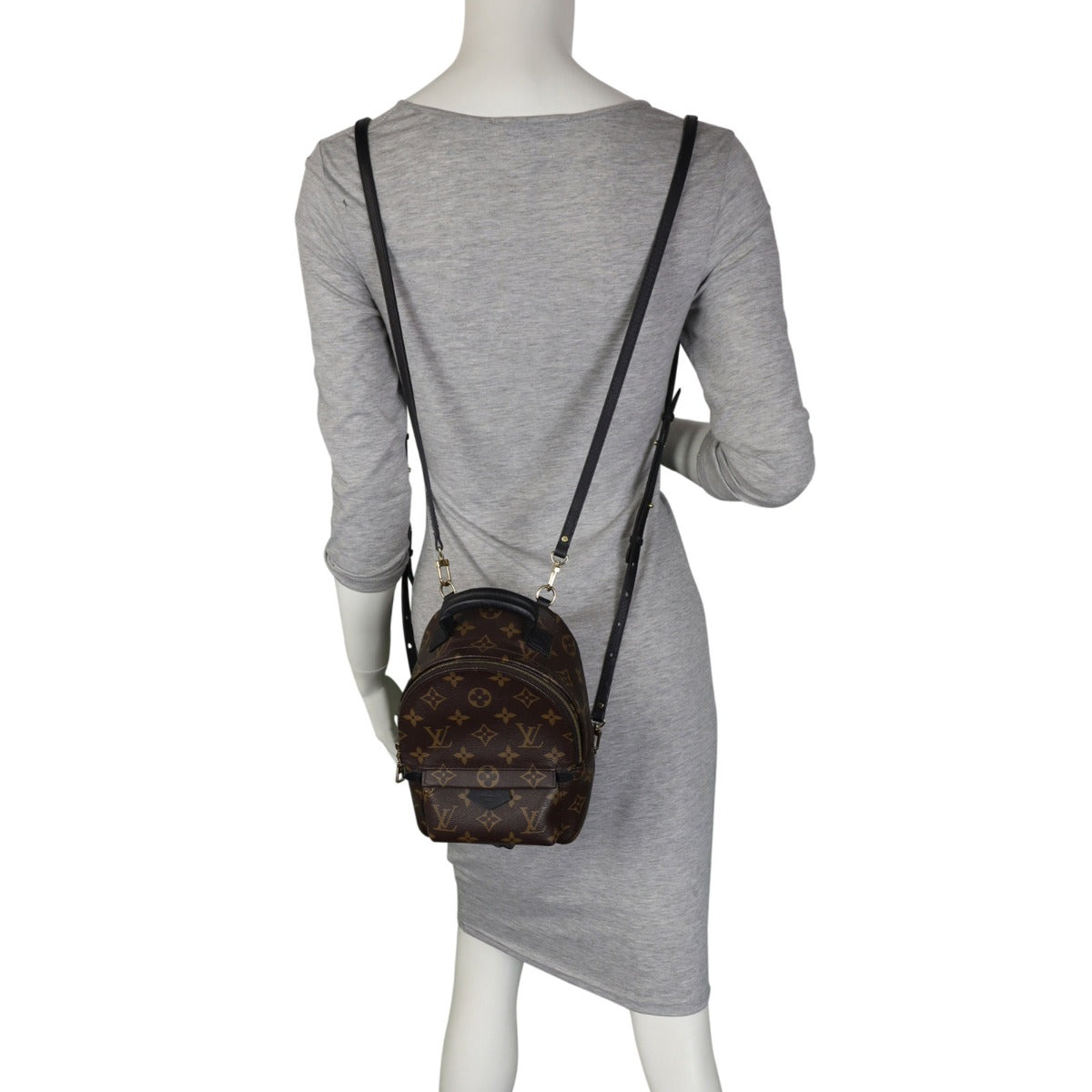 Louis Vuitton Palm Springs Mini Backpack Monogram