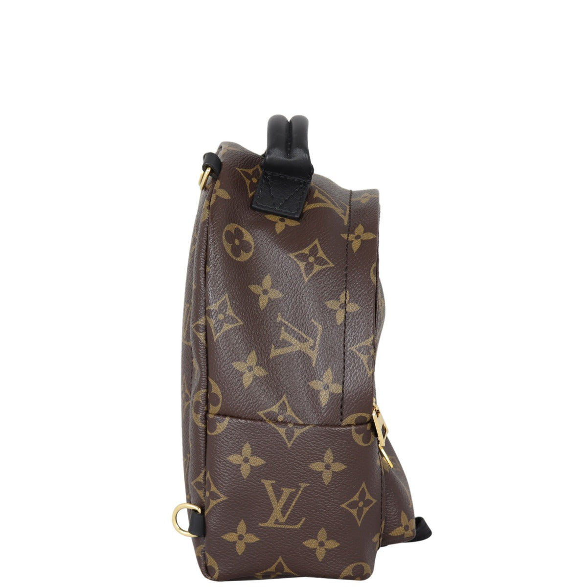 Louis Vuitton Palm Springs Mini Backpack Monogram My LV World Tour