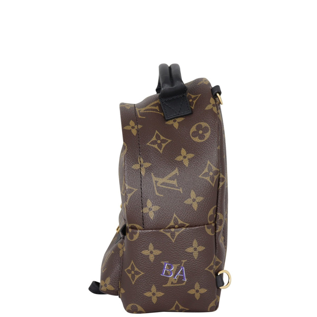 Louis Vuitton Palm Springs Mini Backpack Monogram My LV World Tour