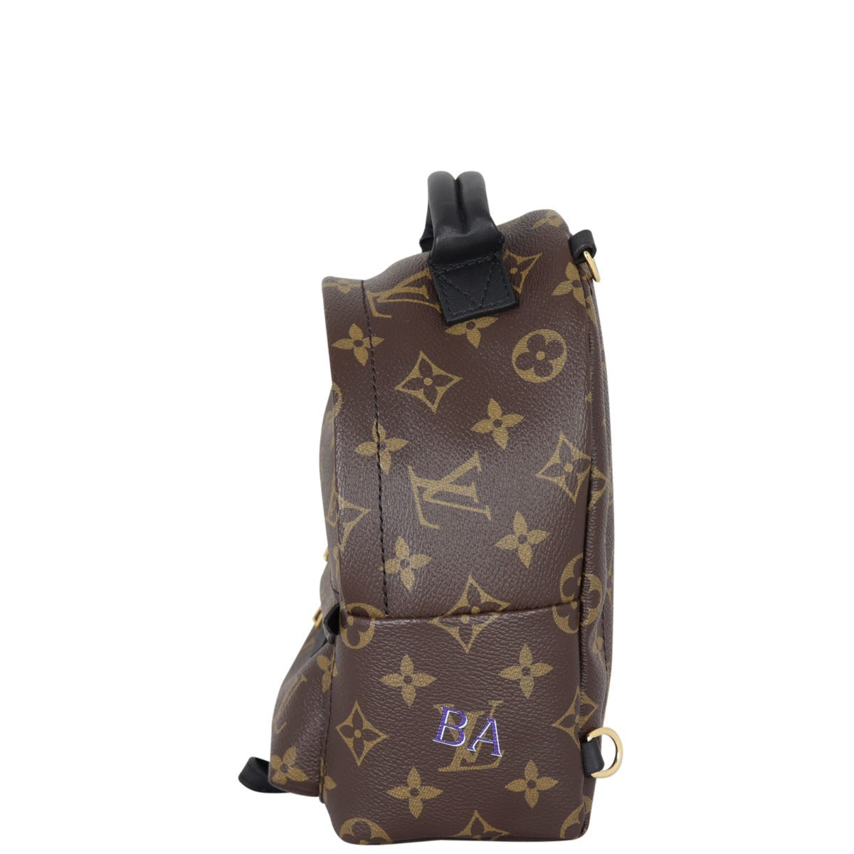 Louis Vuitton Palm Springs Mini Backpack Monogram My LV World Tour