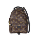 Louis Vuitton Palm Springs Mini Backpack Monogram My LV World Tour