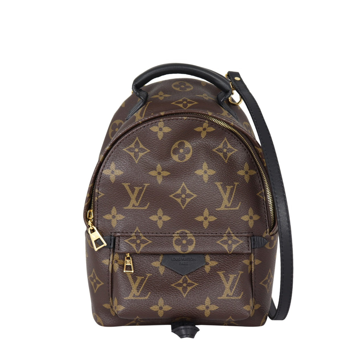 Louis Vuitton Palm Springs Mini Backpack Monogram My LV World Tour