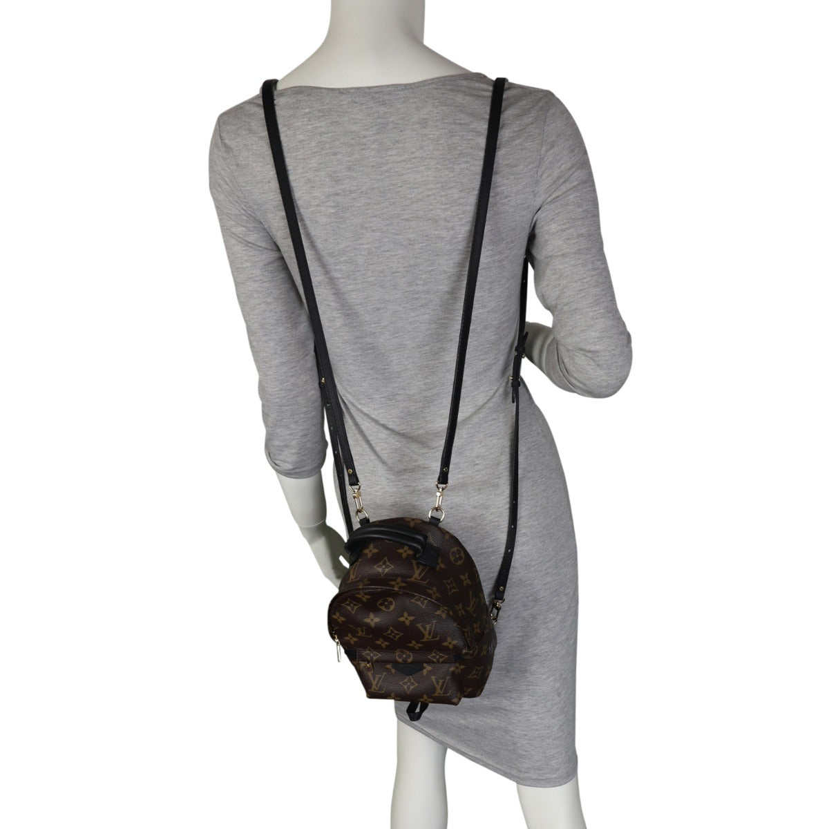 Louis Vuitton Palm Springs Mini Backpack Monogram My LV World Tour