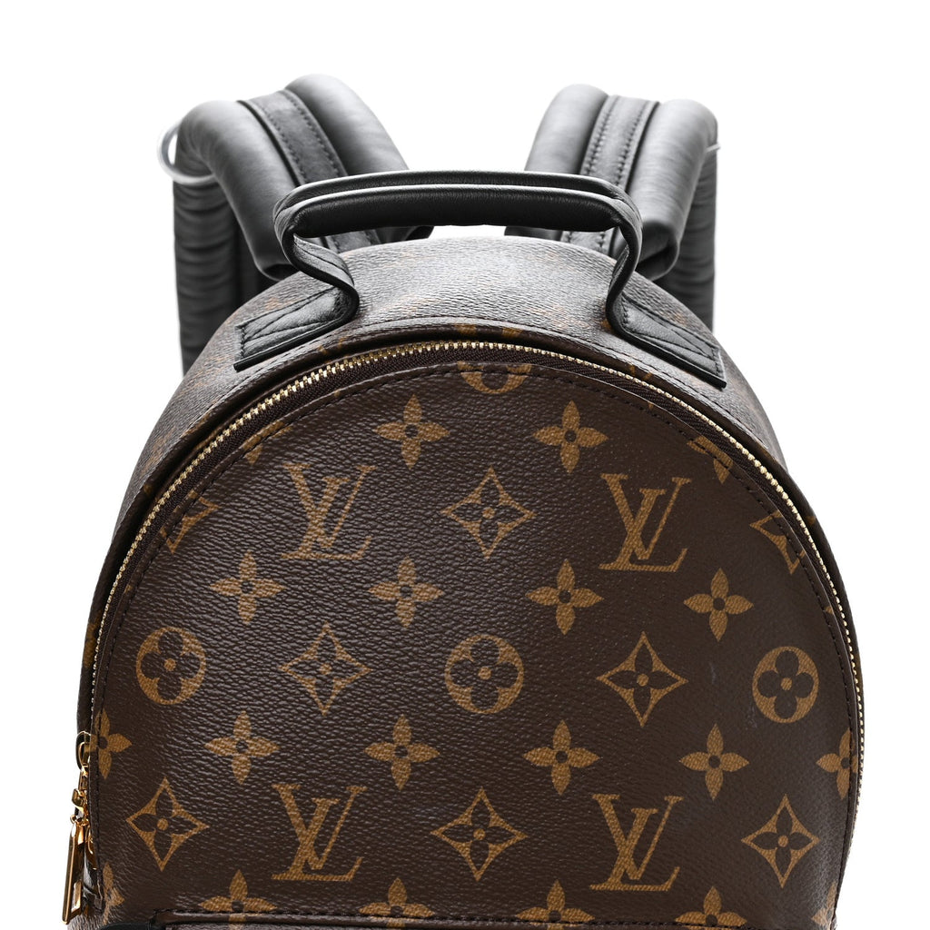 Monogram Palm Springs Backpack PM