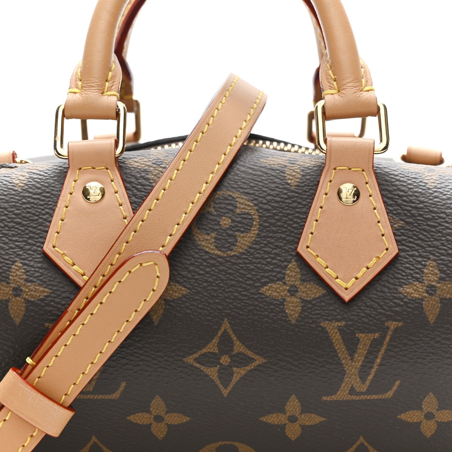 Monogram Nano Speedy Dating
