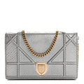 Snakeskin Diorama Wallet on Chain Pouch Silver