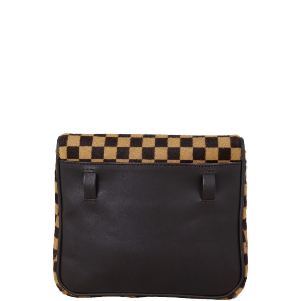 Louis Vuitton Damier Sauvage Gazelle Bag