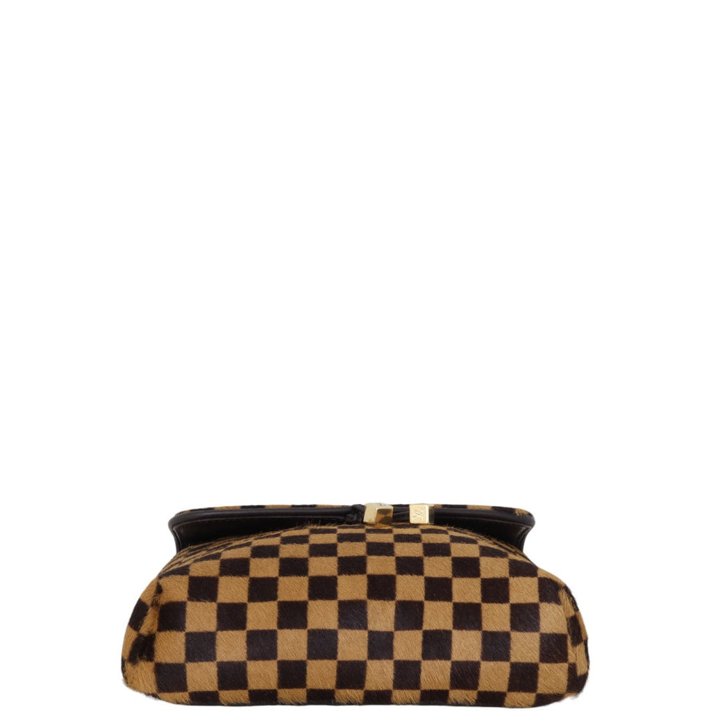 Louis Vuitton Damier Sauvage Gazelle Bag