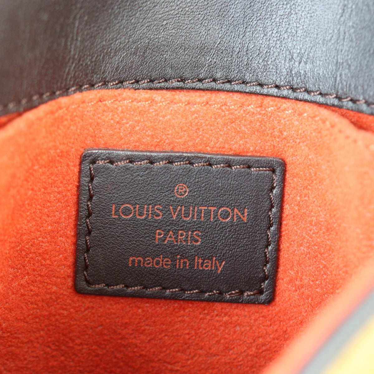 Louis Vuitton Damier Sauvage Gazelle Bag
