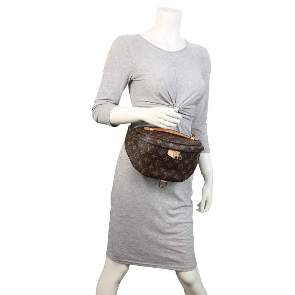 Louis Vuitton Bum Bag Monogram