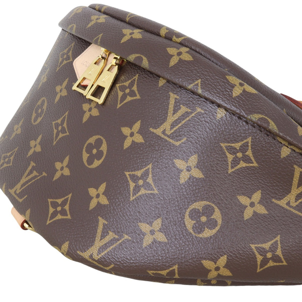Louis Vuitton Bum Bag Monogram