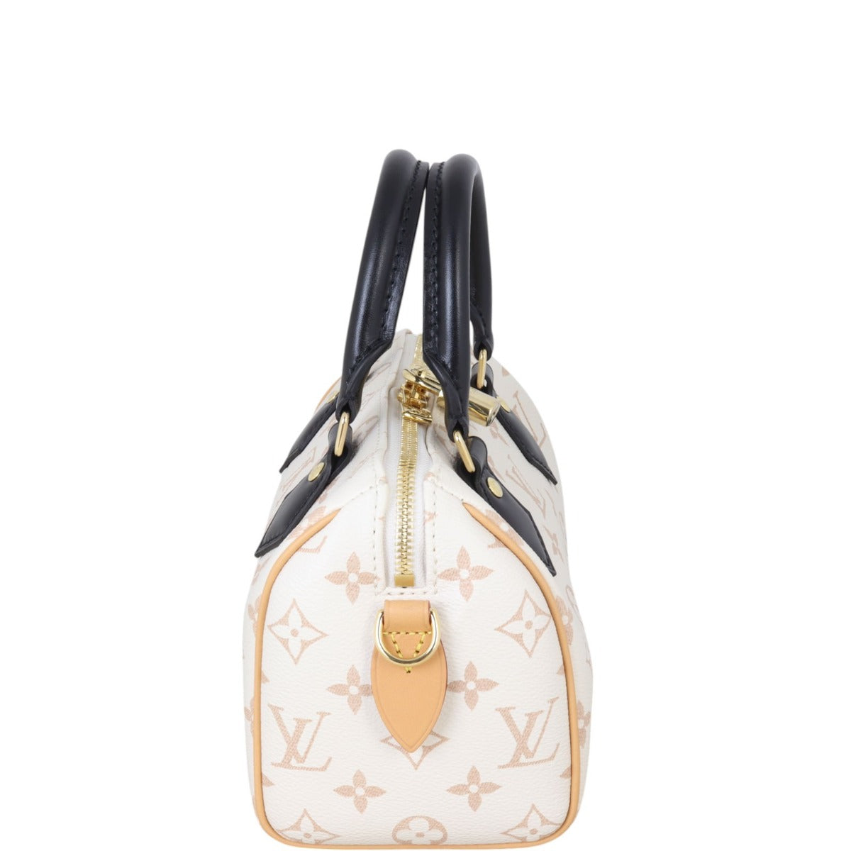 Louis Vuitton Speedy 20 Bandouliere Monogram Dune