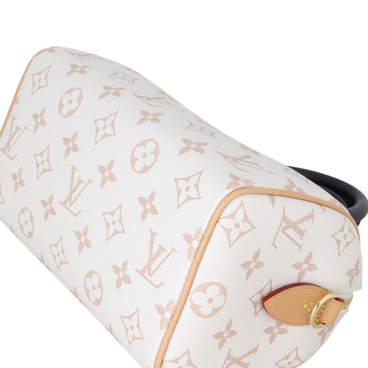 Louis Vuitton Speedy 20 Bandouliere Monogram Dune