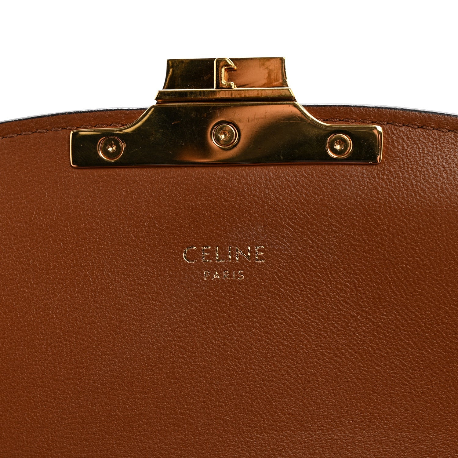 Calfskin Triomphe Canvas Teen Triomphe Bag Tan