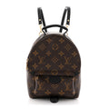 Monogram Palm Springs Backpack Mini