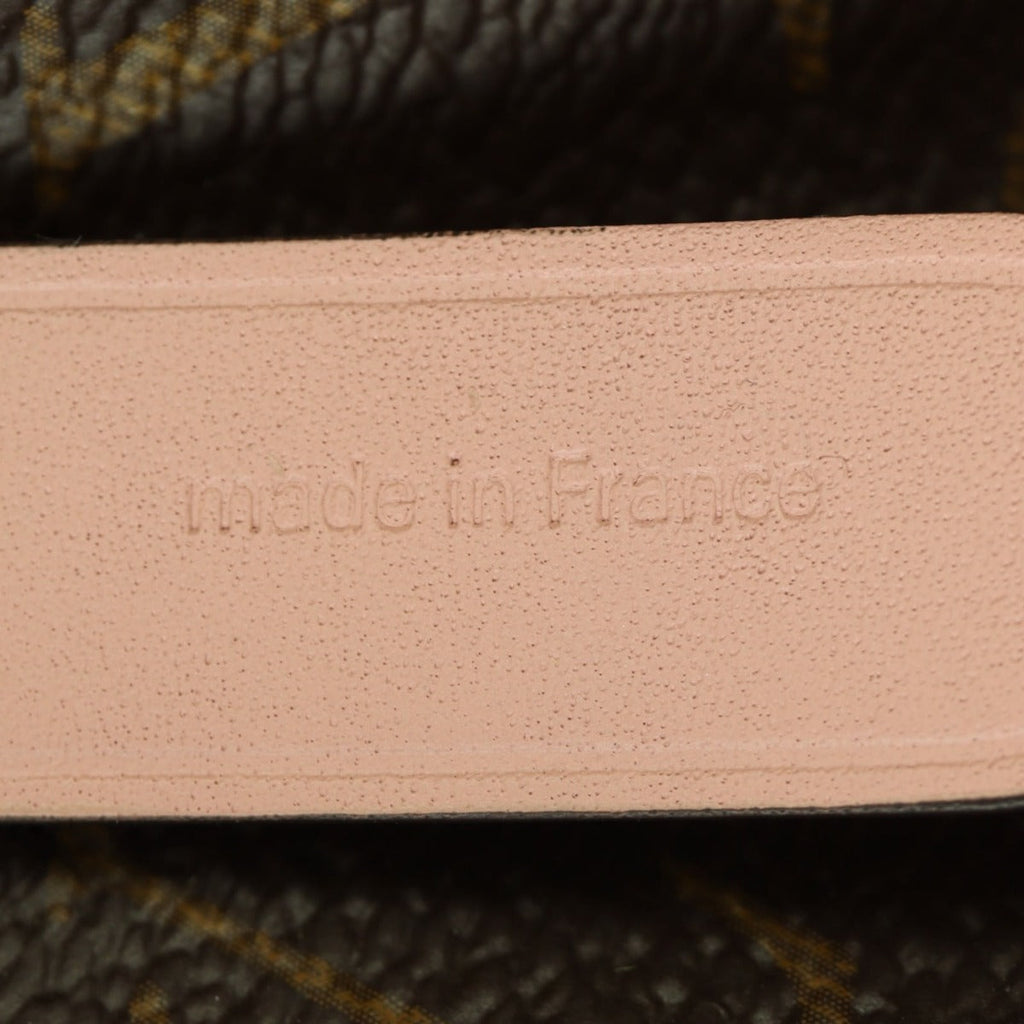 Louis Vuitton NeoNoe Monogram