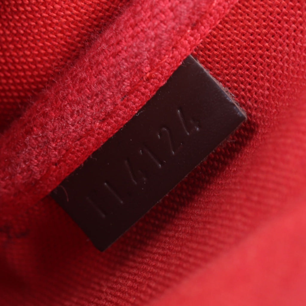 Louis Vuitton Favorite MM Damier Ebene