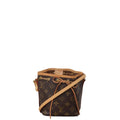 Louis Vuitton Nano Noe Monogram