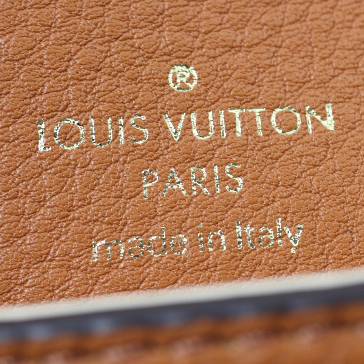 Louis Vuitton LV Pont 9 Soft PM