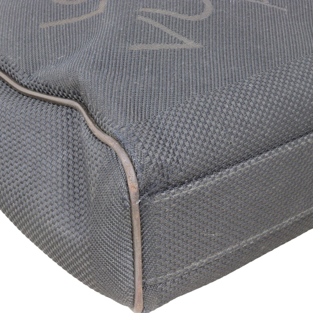 Louis Vuitton Damier Geant Citadin Earth Messenger