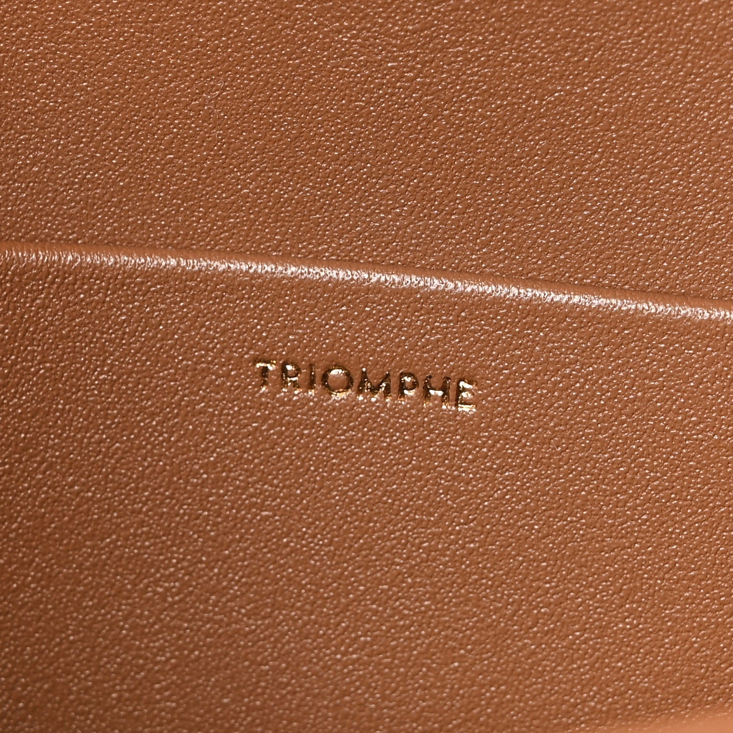 Shiny Calfskin Medium Triomphe Bronze