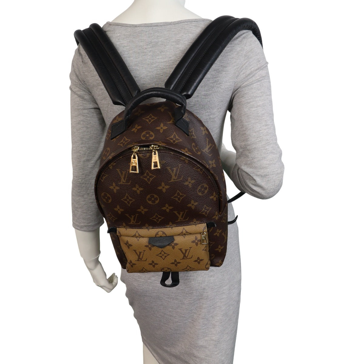 Louis Vuitton Palm Springs Backpack PM Reverse Monogram