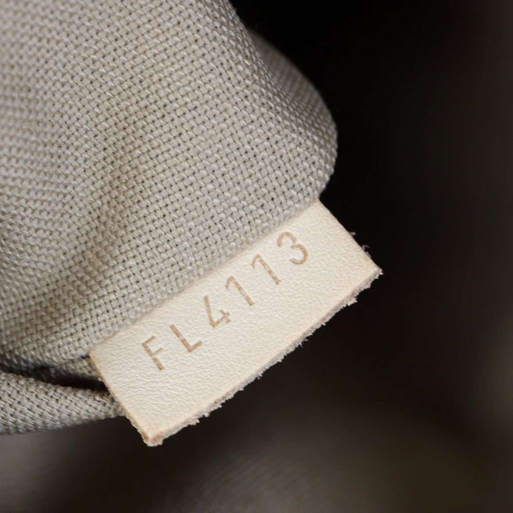 Louis Vuitton Delightful PM Monogram