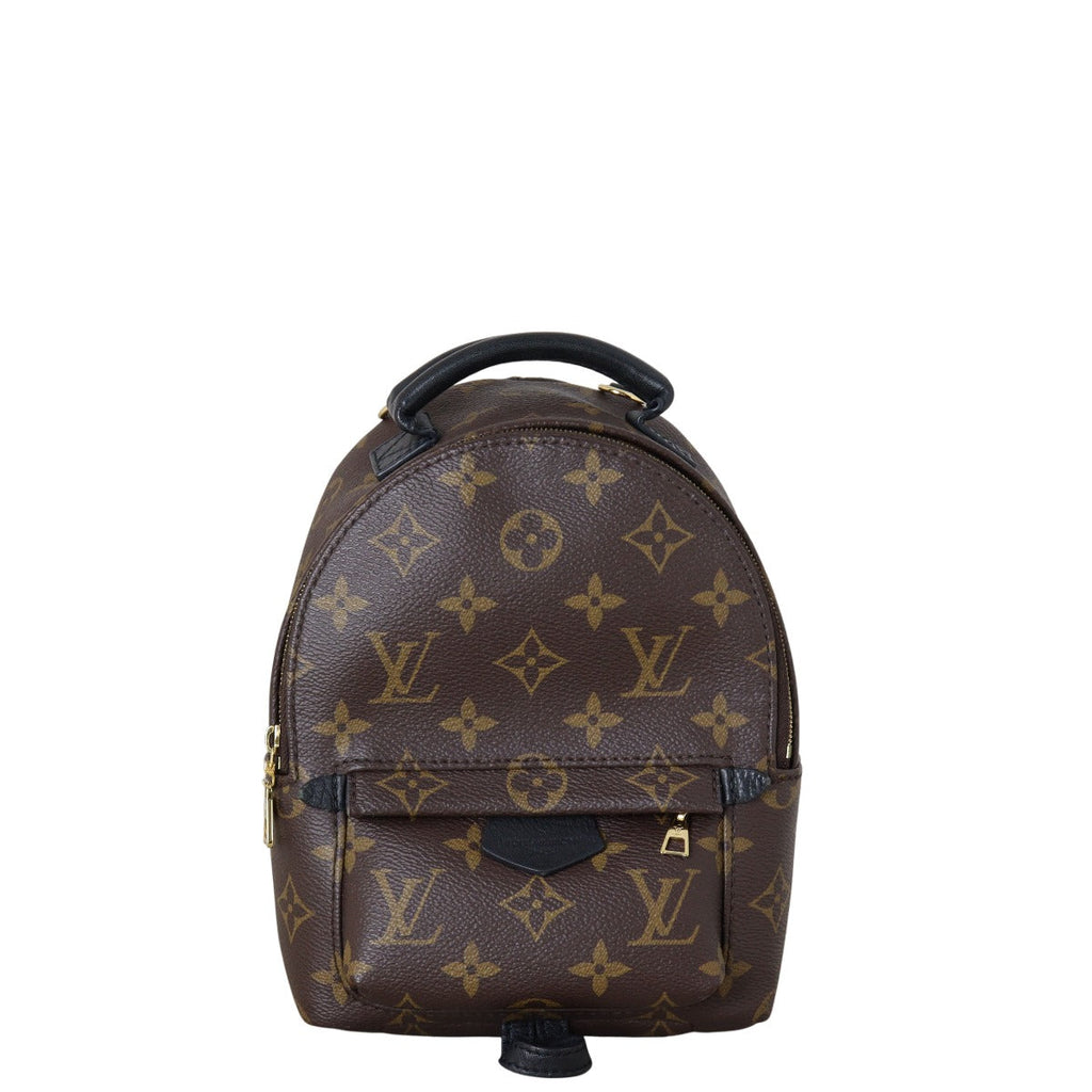 Louis Vuitton Palm Springs Mini Backpack Monogram