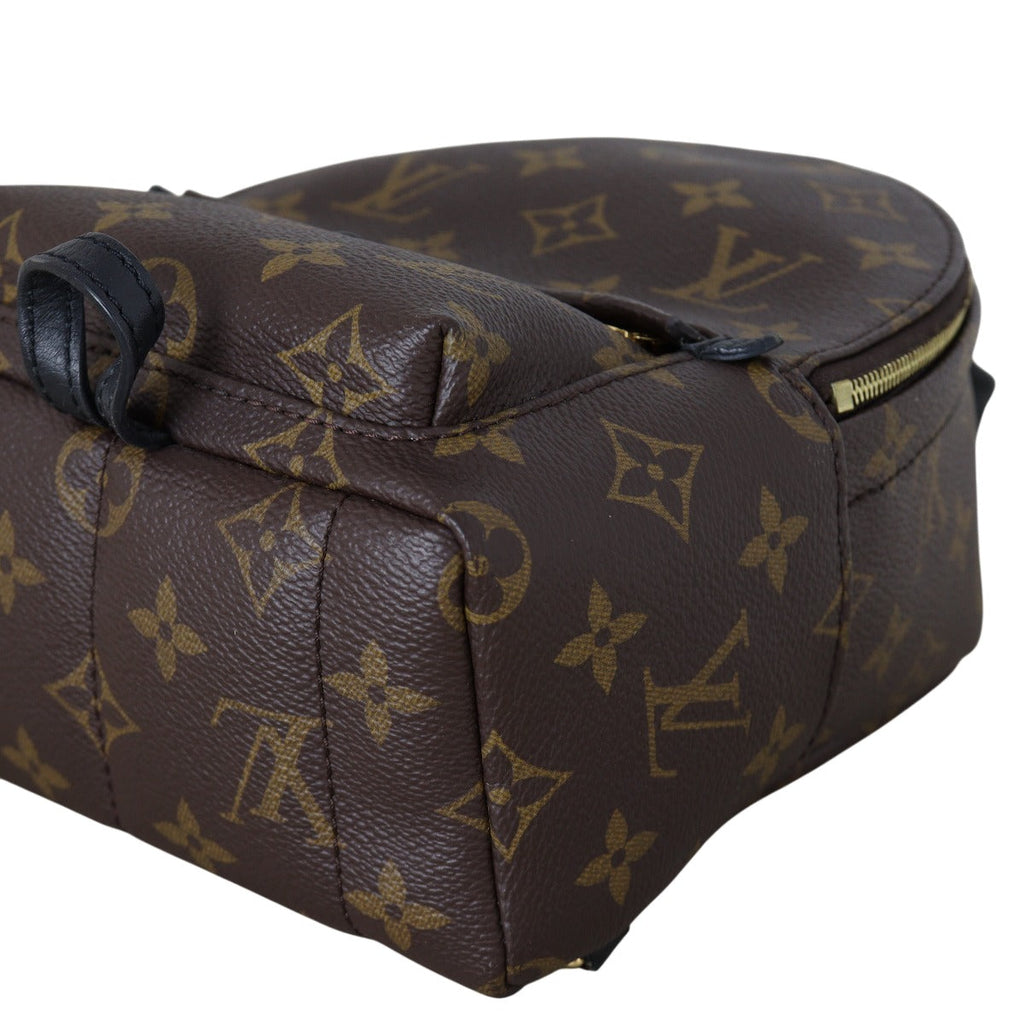 Louis Vuitton Palm Springs Mini Backpack Monogram
