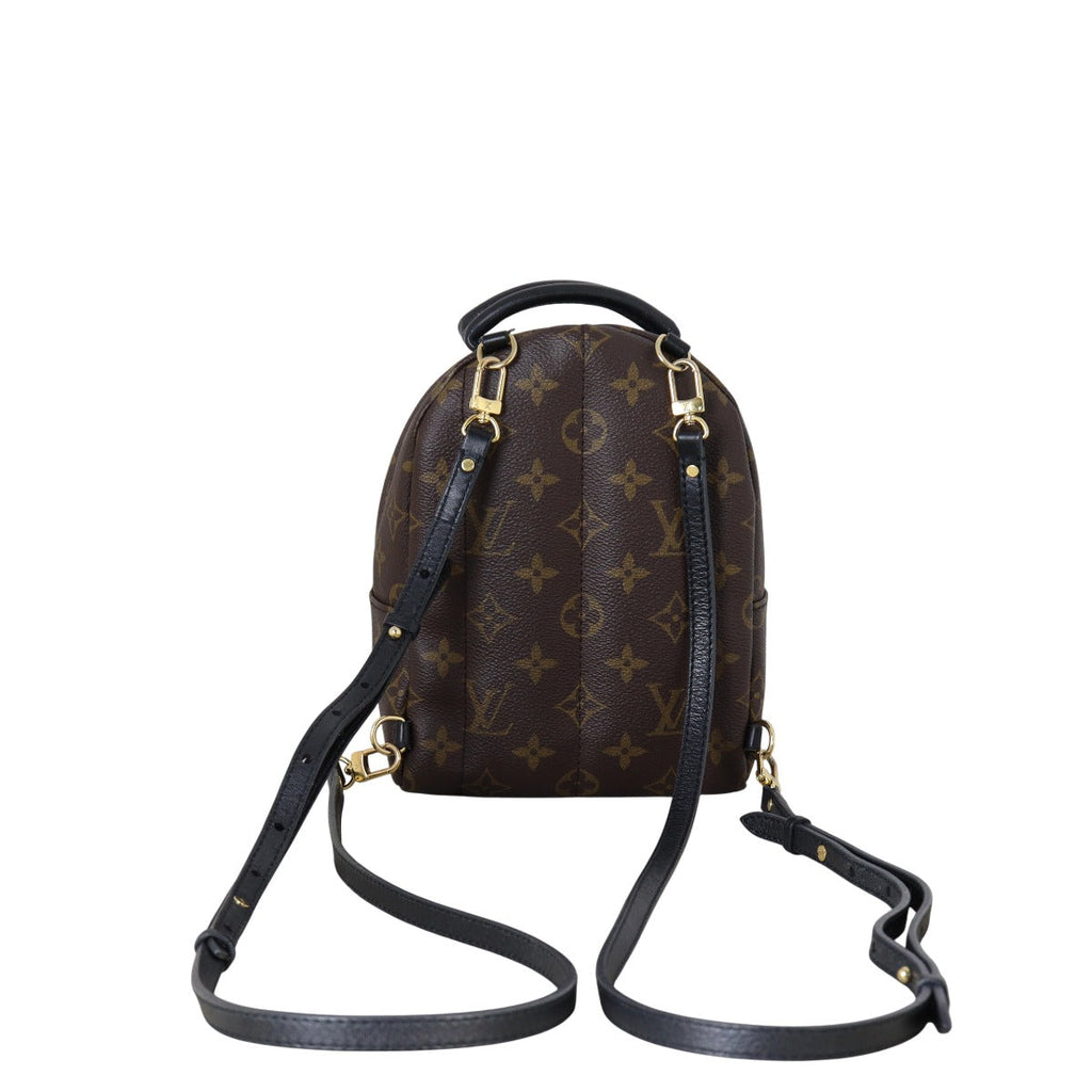 Louis Vuitton Palm Springs Mini Backpack Monogram