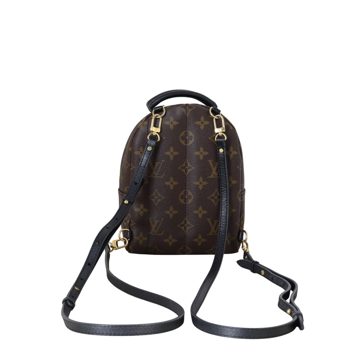 Louis Vuitton Palm Springs Mini Backpack Monogram