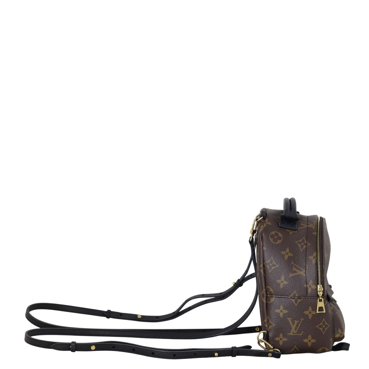 Louis Vuitton Palm Springs Mini Backpack Monogram