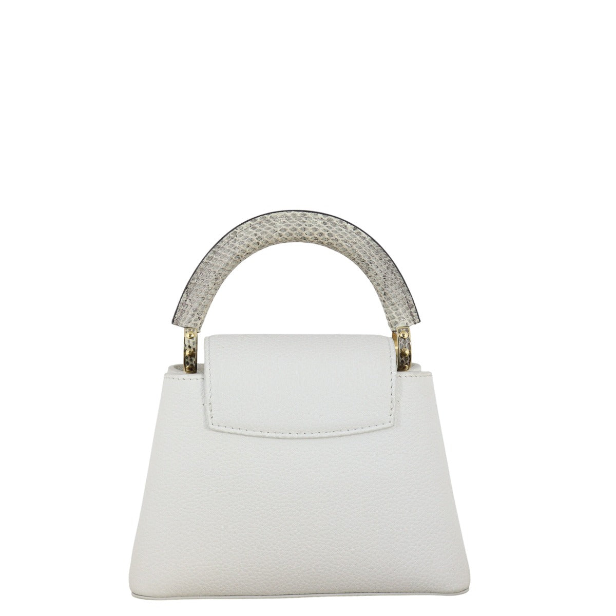 Louis Vuitton Capucines Mini Snake