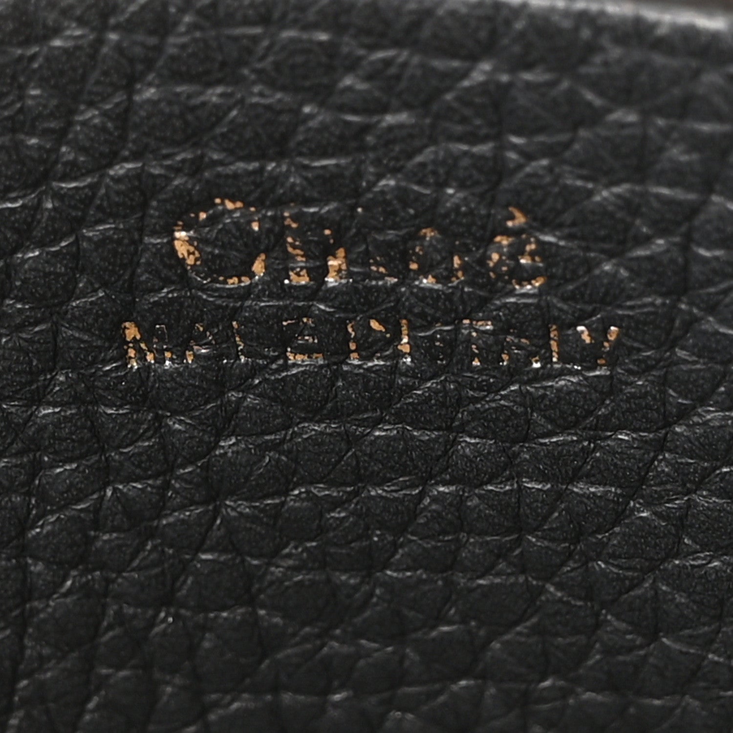 Grained Calfskin Mini Hayley Hobo Black