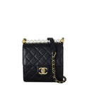 Chanel Chic Pearls Flap Mini Bag
