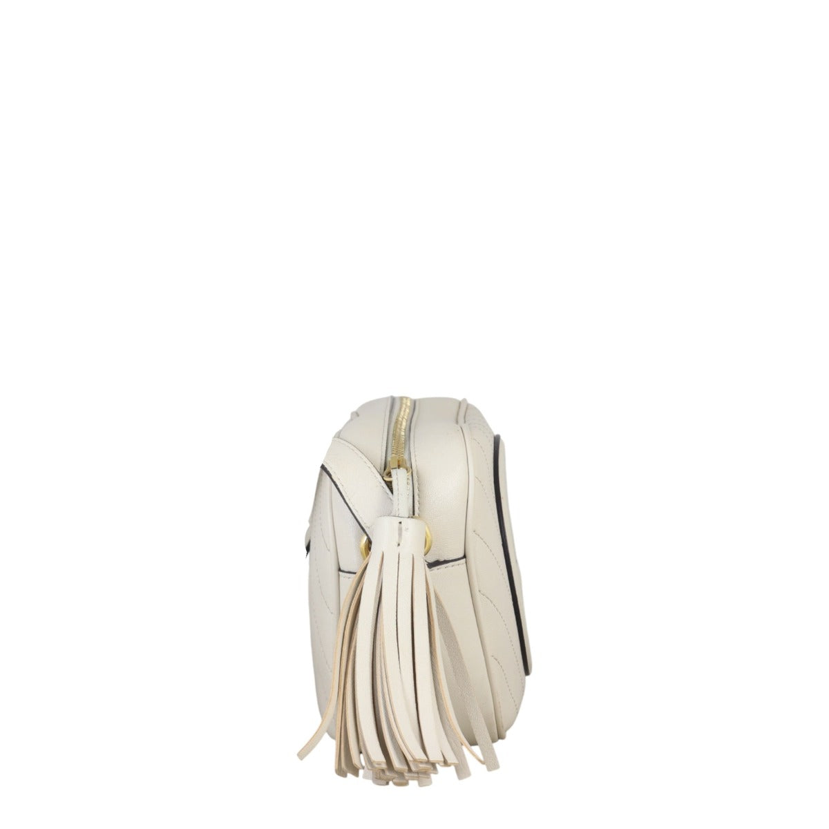 Gucci Blondie Camera Small
