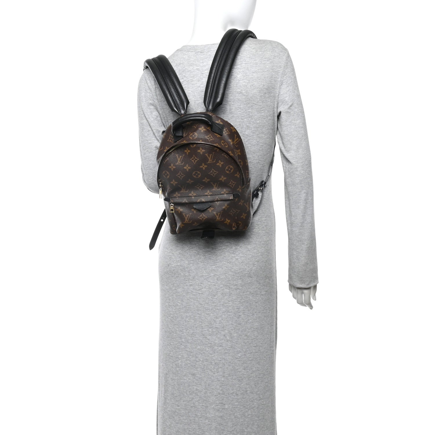 Monogram Palm Springs Backpack PM