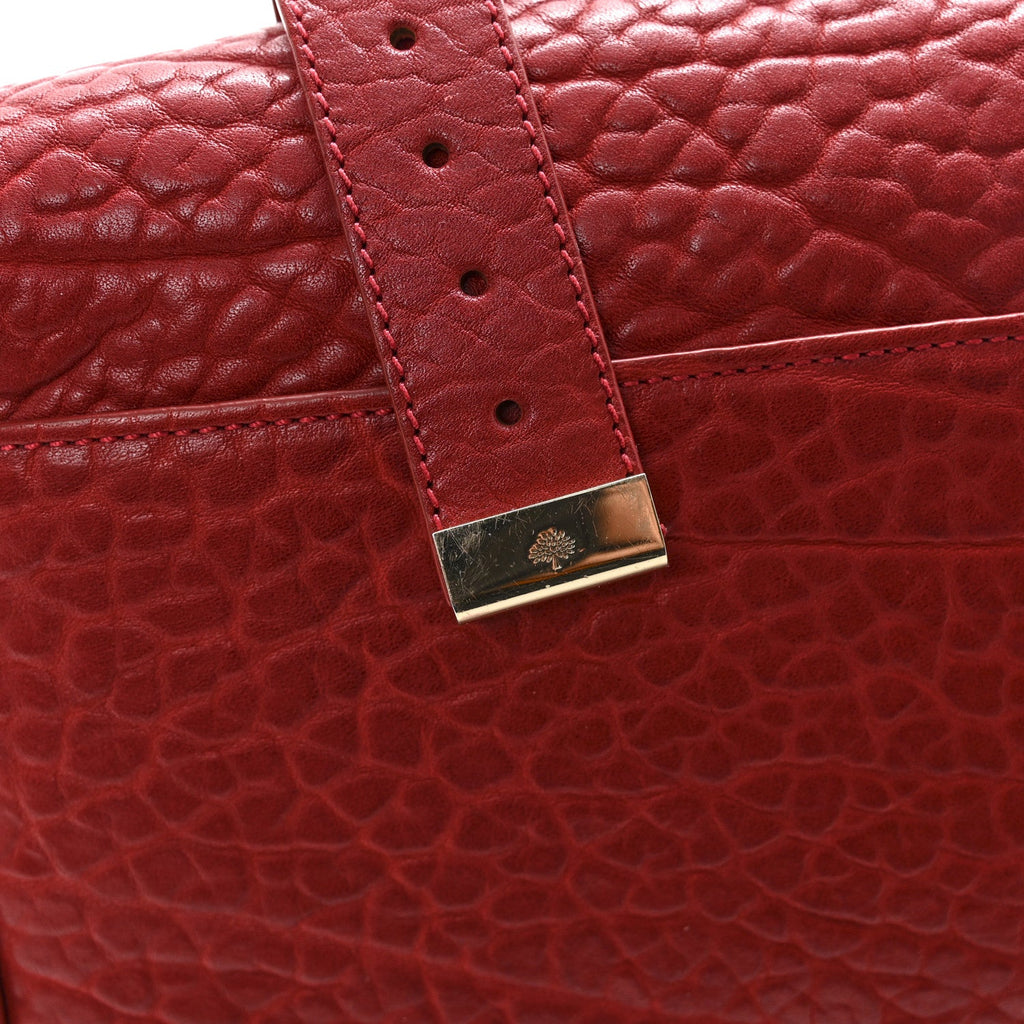 Shrunken Calfskin Medium Alexa Red