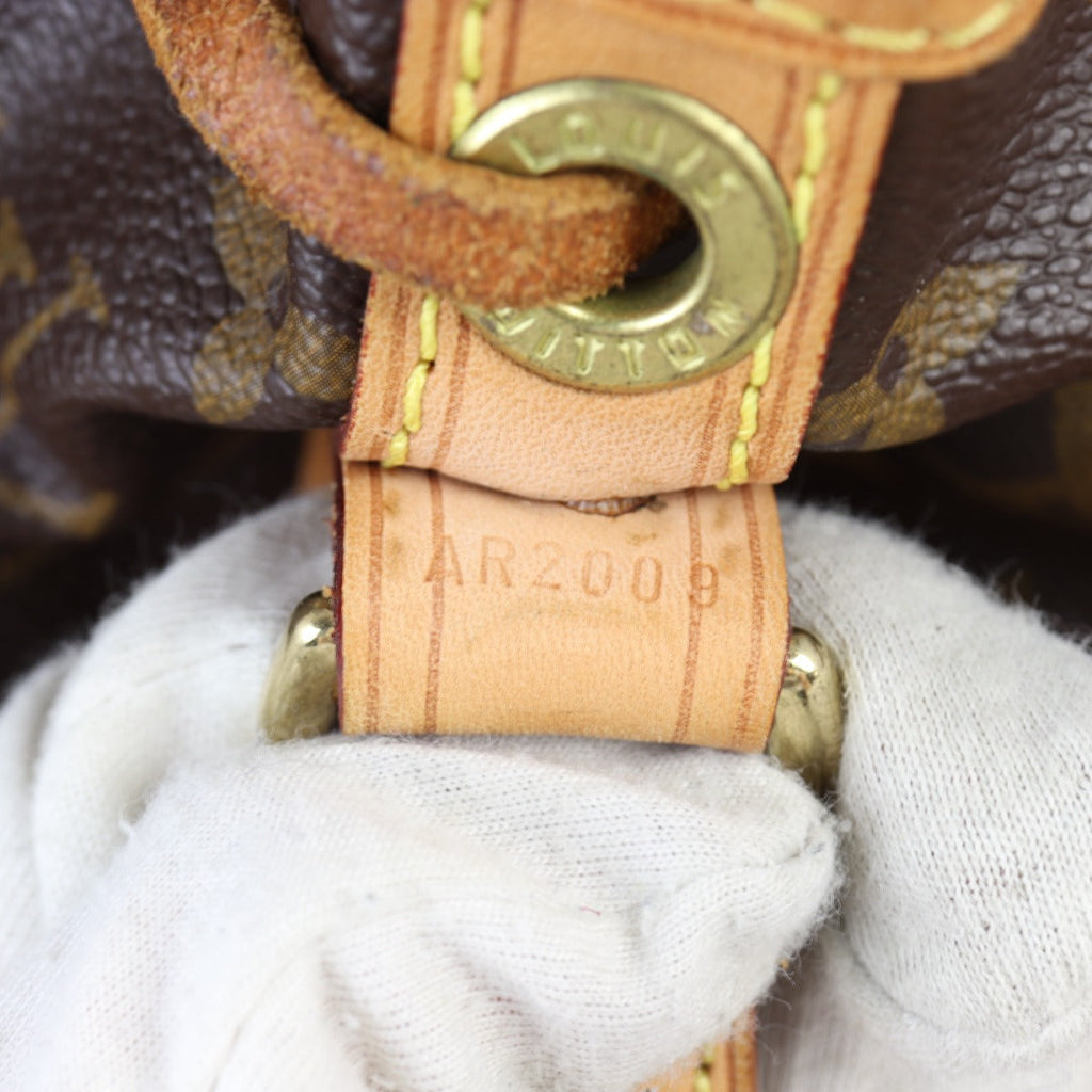Louis Vuitton Noe Monogram